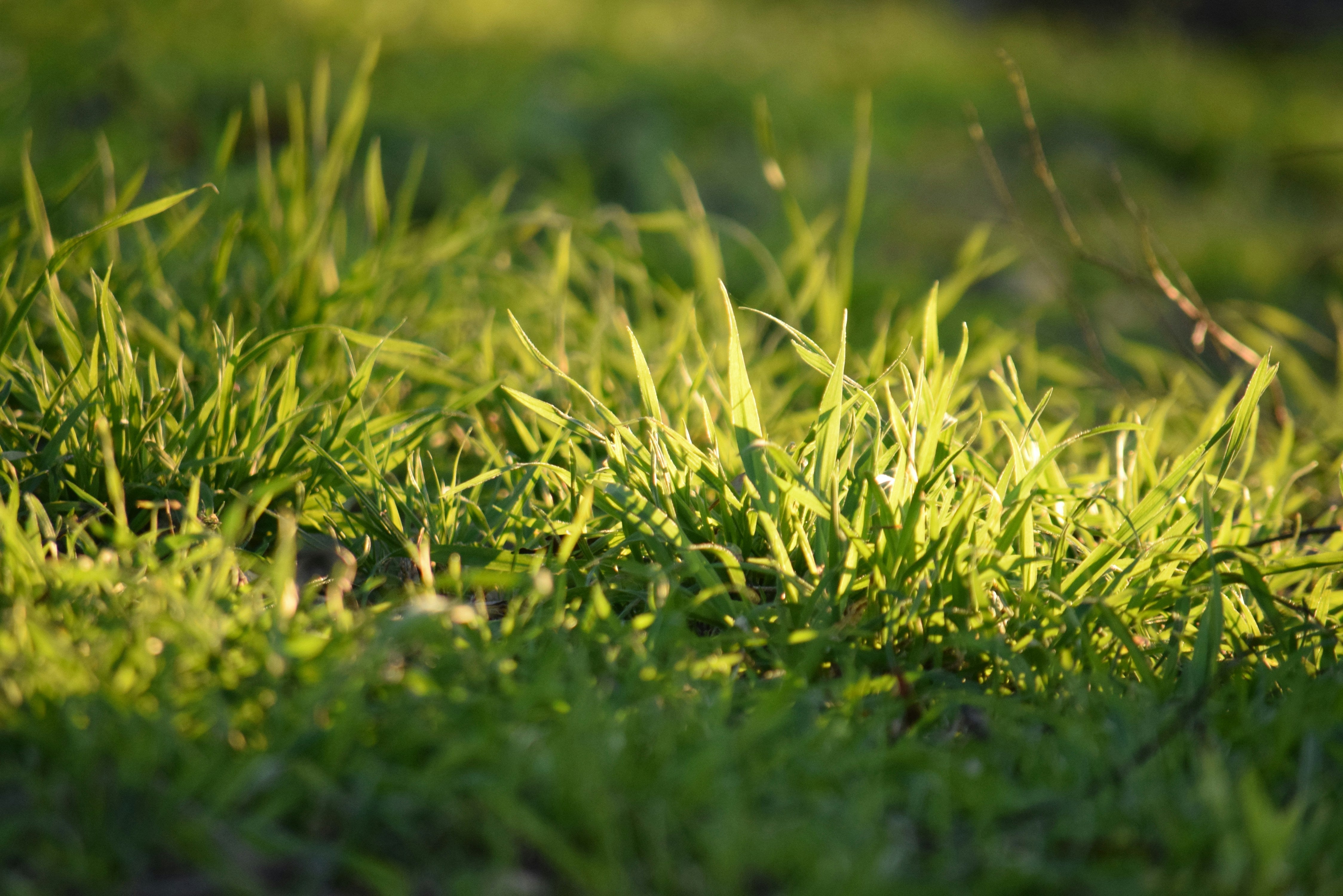 Spring Notice β 2025 β Brandon Oaks